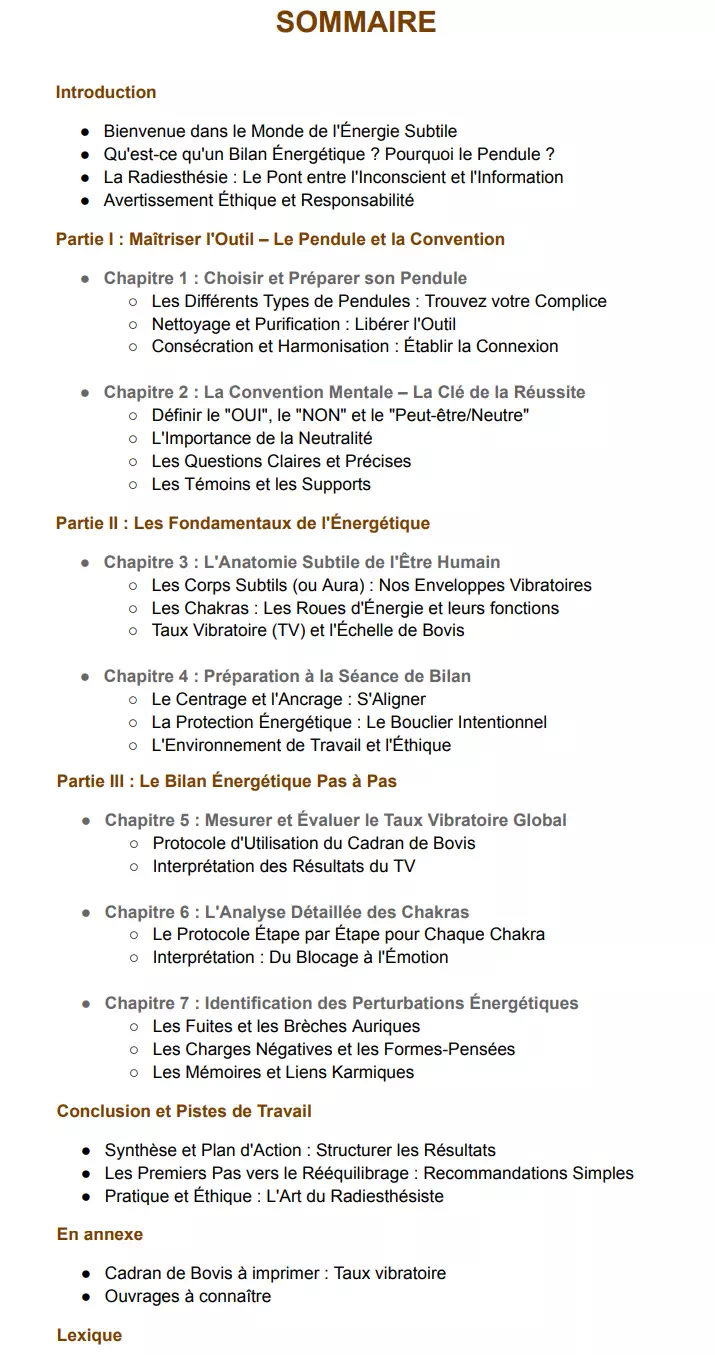 SOMMAIRE BILAN ENERGETIQUE